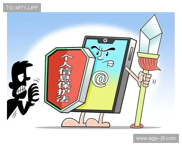 探索9游会全站登录的安全性与用户隐私保护措施