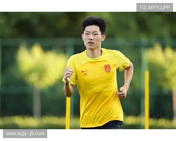 探索星辉体育九游会在体育产业中的崛起历程