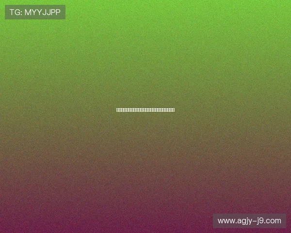 轮盘游戏的历史发展与未来趋势预测助你把握行业动态