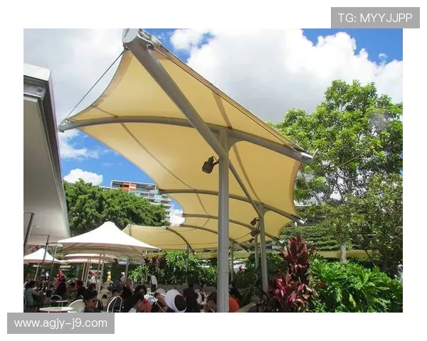 ag九游会登录j9入口安全验证流程全解析，确保玩家账号信息安全无忧快速登录游戏