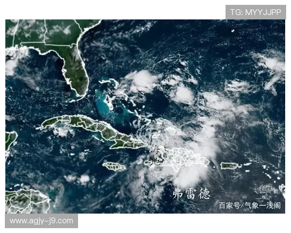 世界杯期间海地苏格兰比赛场地天气变化对比赛结果的影响分析